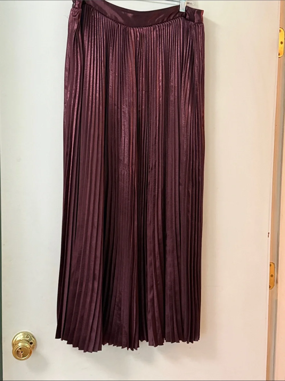 Ulla Johnson Rami Pleated Maxi Skirt